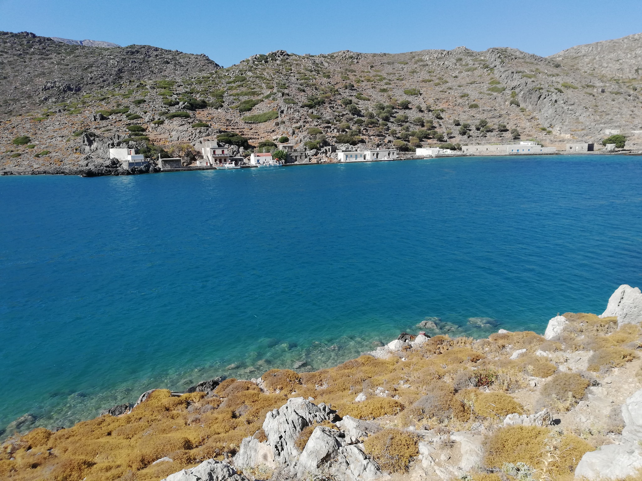 118670767_1595784740600525_8064935393750073837_n